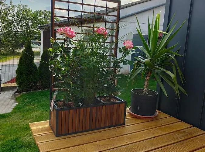 Mariolas Tinyhouse Apartment *